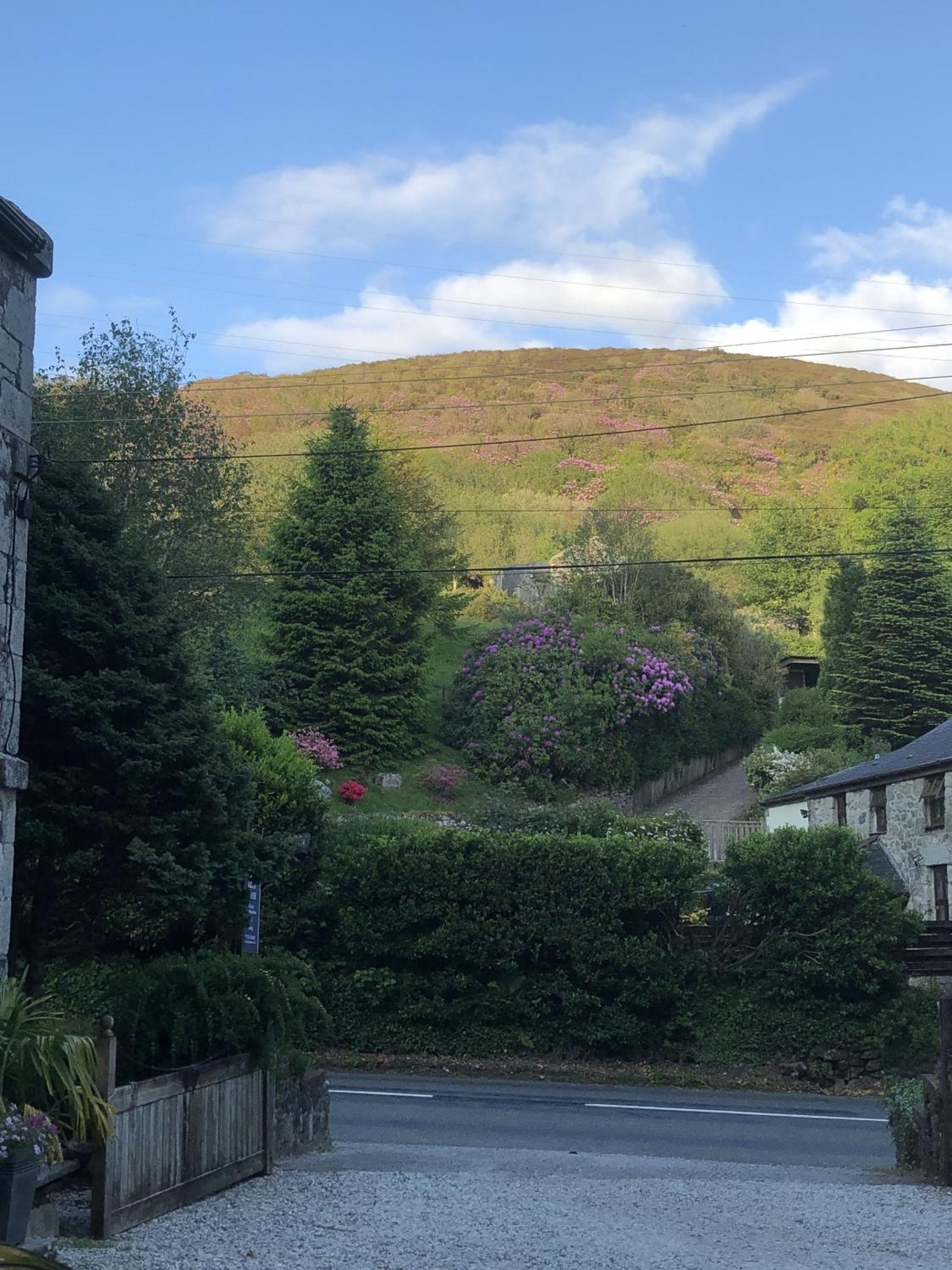 The Chapel Guest House St Austell Eksteriør billede