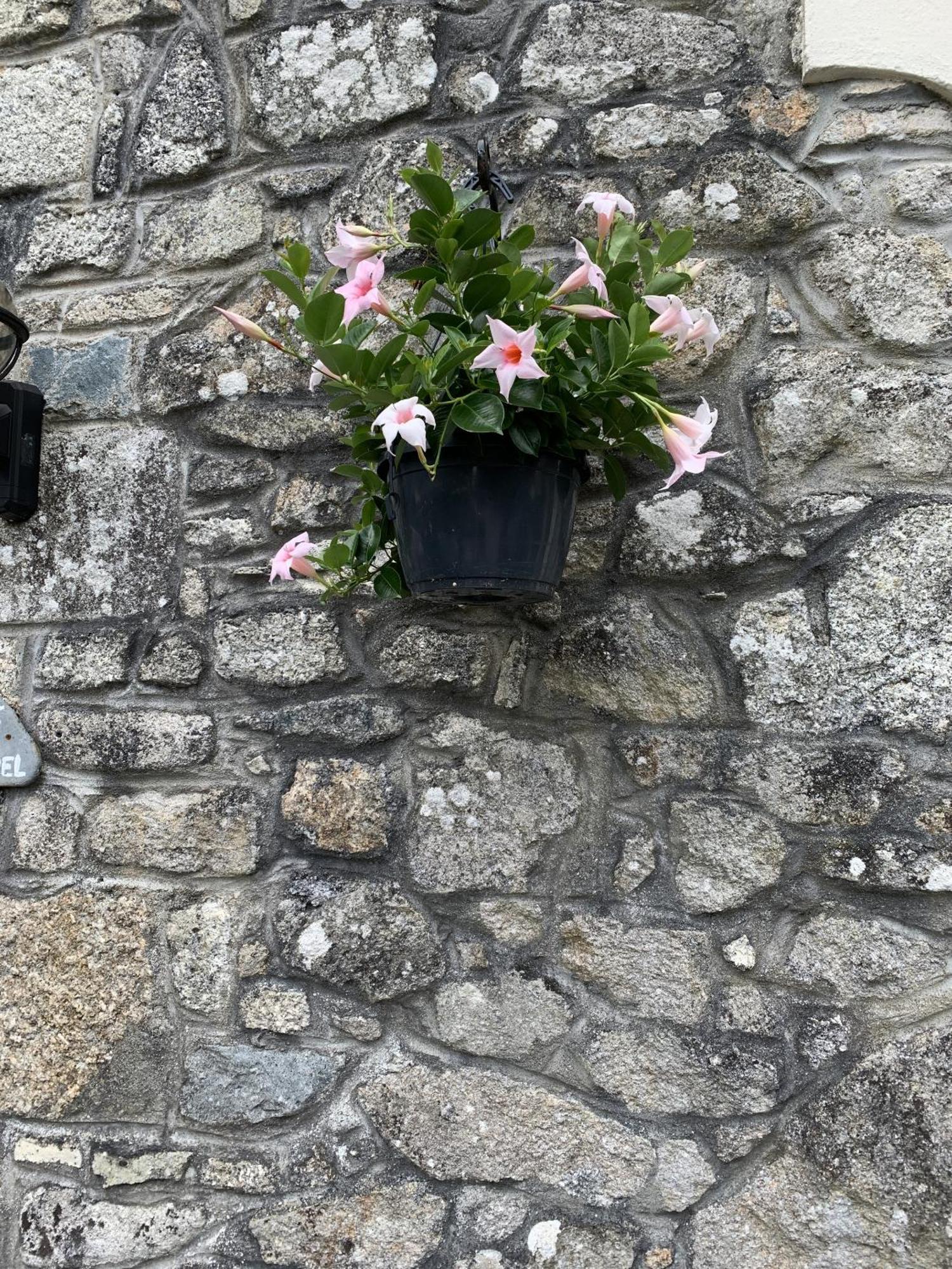 The Chapel Guest House St Austell Eksteriør billede